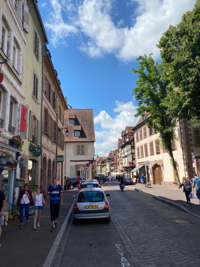 Hello Colmar Luxury Petite Venise 7 pers parking velos Leilighet Eksteriør bilde